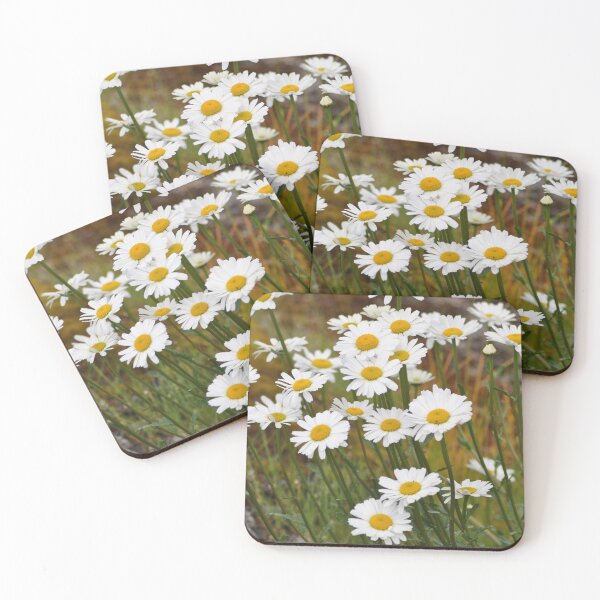 Item preview, Roadside Daises  designed and sold by joelbakken39.