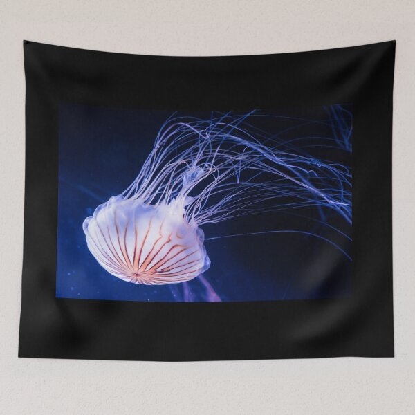 Item preview, Jellyfish Dance at the Seattle Aquarium designed and sold by gappman.