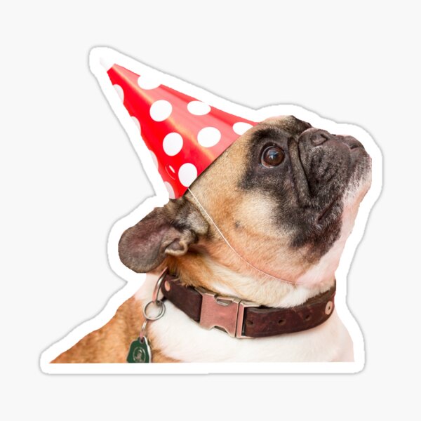 Dog Sticker! Sticker