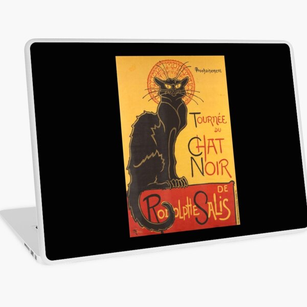 Cat Noir Laptop Skins For Sale Redbubble