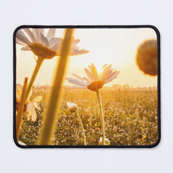 Item preview, Flowers Bathing In The Sunlight designed and sold by Taceo10.