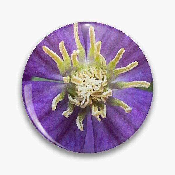 Item preview, Italian Clematis by Mark Ewing designed and sold by LifeSpice.