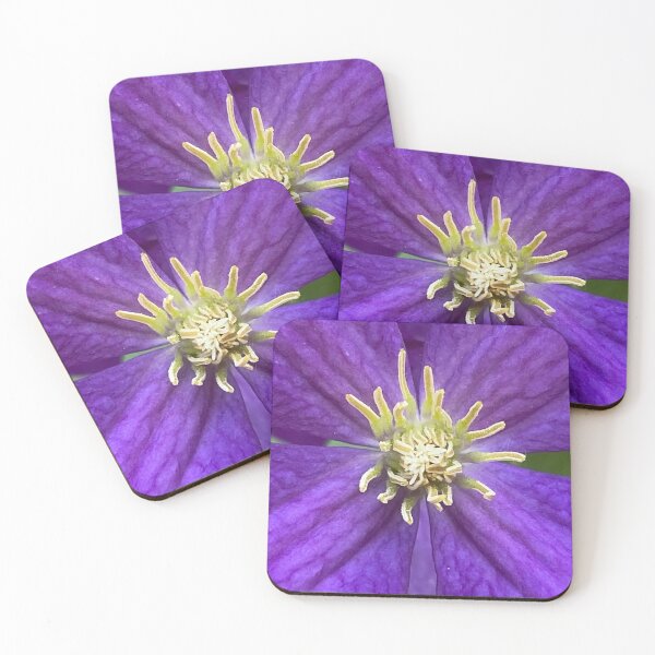 Item preview, Italian Clematis by Mark Ewing designed and sold by LifeSpice.