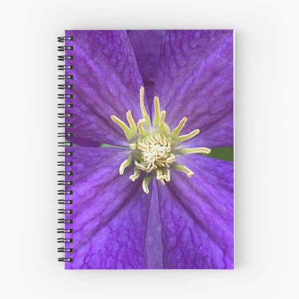 Item preview, Italian Clematis by Mark Ewing designed and sold by LifeSpice.