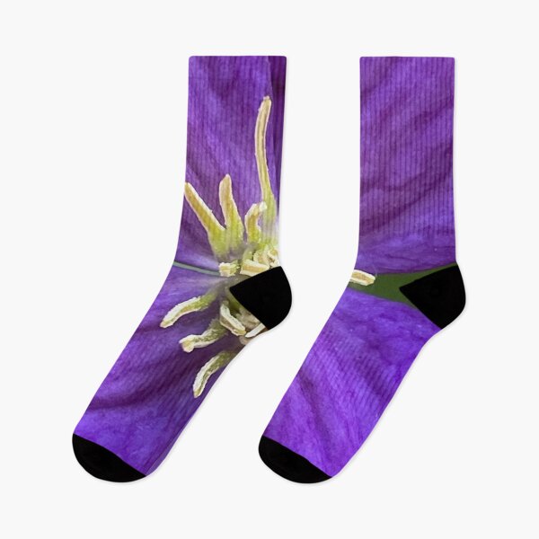 Item preview, Italian Clematis by Mark Ewing designed and sold by LifeSpice.