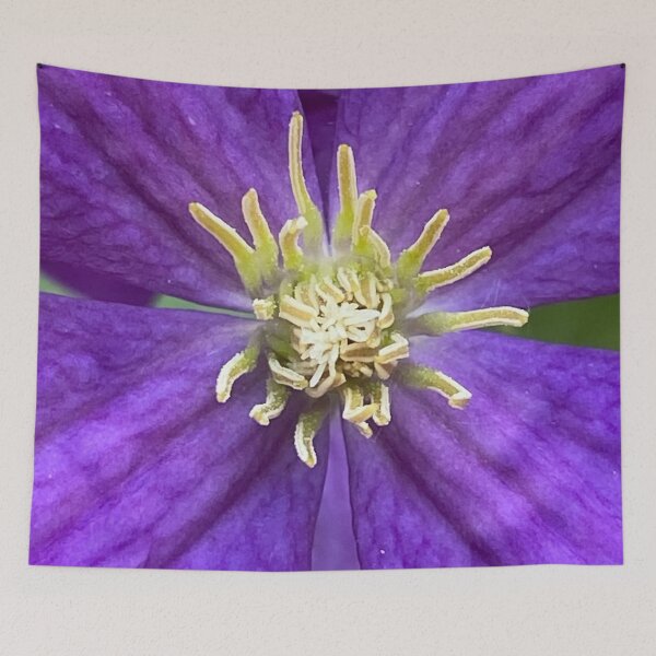 Item preview, Italian Clematis by Mark Ewing designed and sold by LifeSpice.