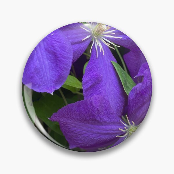 Item preview, Purple Italian Clematis by Mark Ewing designed and sold by LifeSpice.