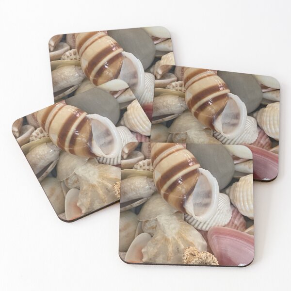 Item preview, Sea Shells by Mark Ewing designed and sold by LifeSpice.