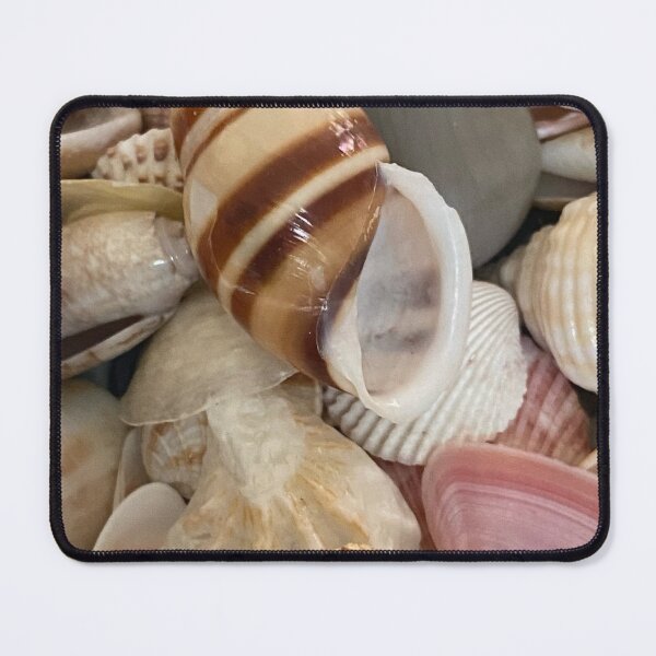Item preview, Sea Shells by Mark Ewing designed and sold by LifeSpice.