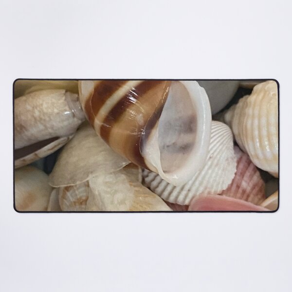 Item preview, Sea Shells by Mark Ewing designed and sold by LifeSpice.