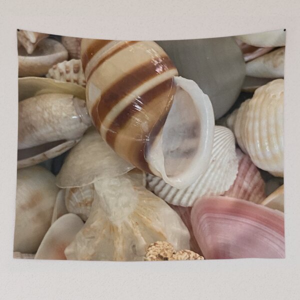 Item preview, Sea Shells by Mark Ewing designed and sold by LifeSpice.