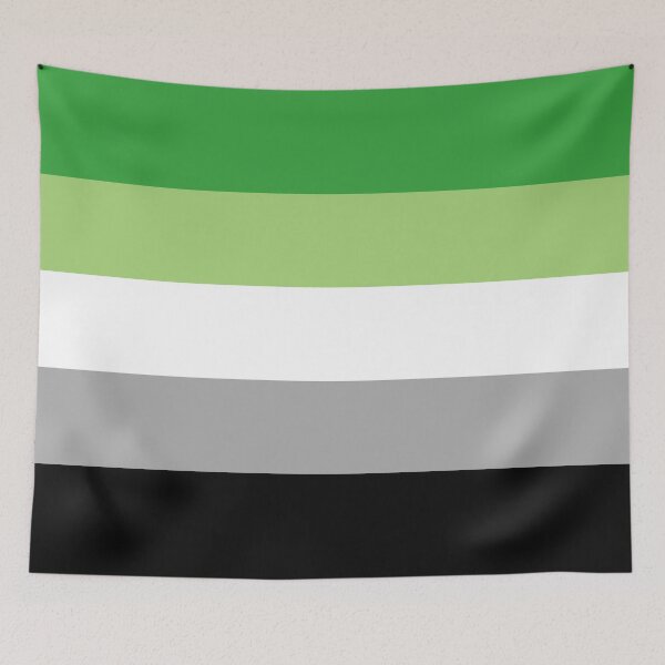 Item preview, Aromantic Pride Flag designed and sold by Pridish.