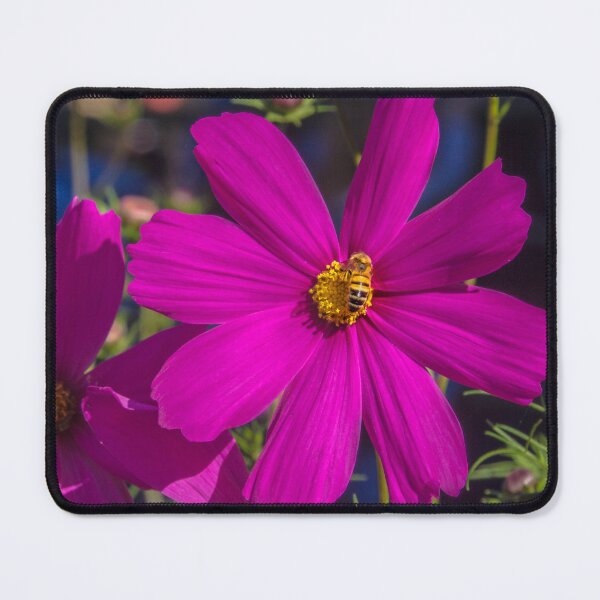 Item preview, Bee Pollination on Pink Flower designed and sold by Steven Jodoin.