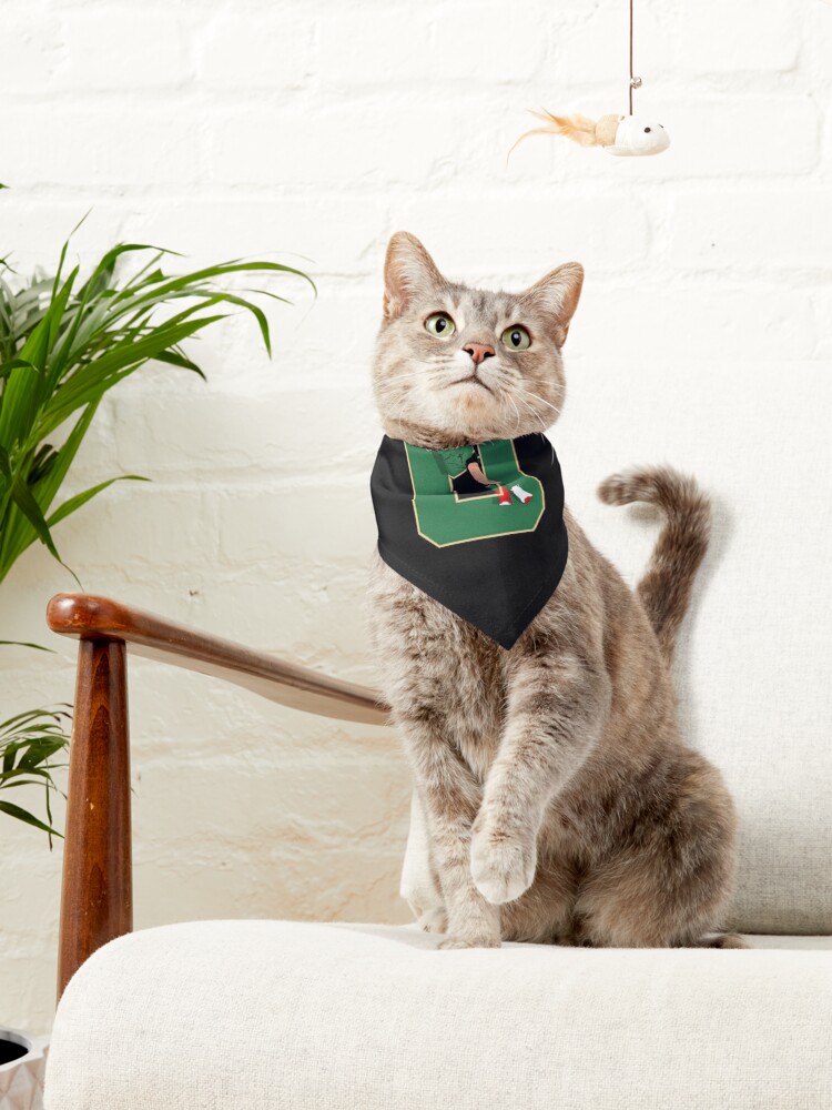 Jayson Tatum Yellow Boston Celtics Green Cat & Dog Pet Jersey