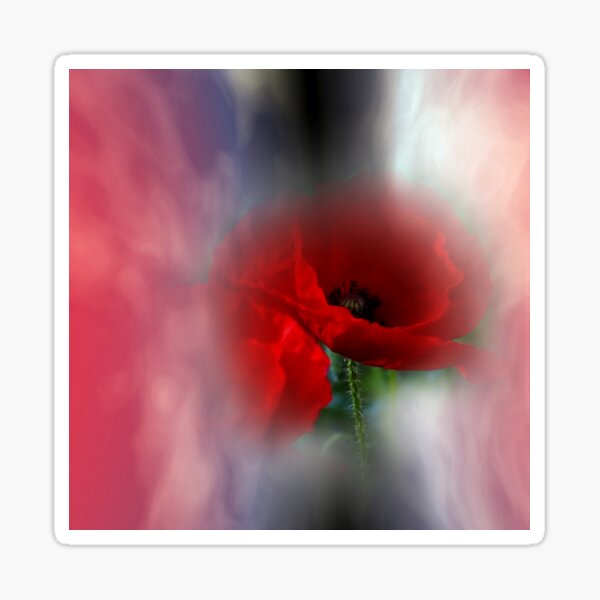 always poppies Sticker