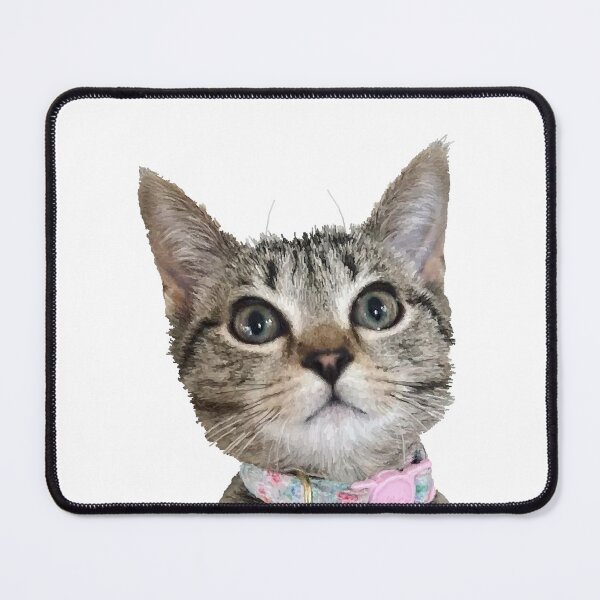 Item preview, Kitten designed and sold by Dzabz.