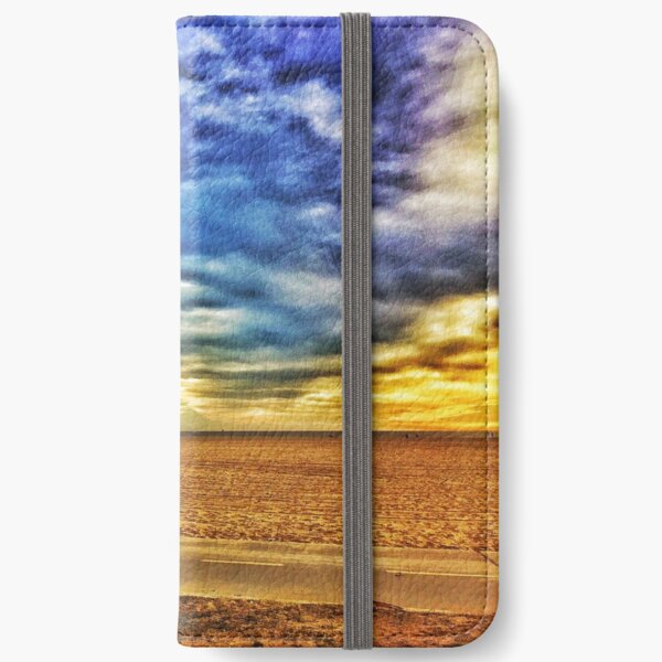 Venice Beach 1/28/16 #3 iPhone Wallet
