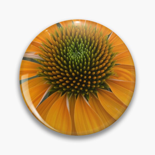 Item preview, Echinacea Sunrise Coneflower by Mark Ewing designed and sold by LifeSpice.