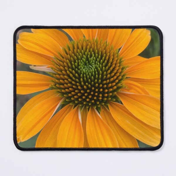 Item preview, Echinacea Sunrise Coneflower by Mark Ewing designed and sold by LifeSpice.