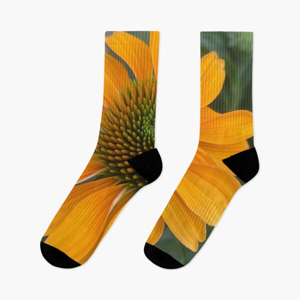 Item preview, Echinacea Sunrise Coneflower by Mark Ewing designed and sold by LifeSpice.