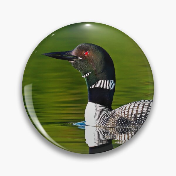 Item preview, National Geographic's Weekly Wrapper - Common Loon designed and sold by James Cumming.