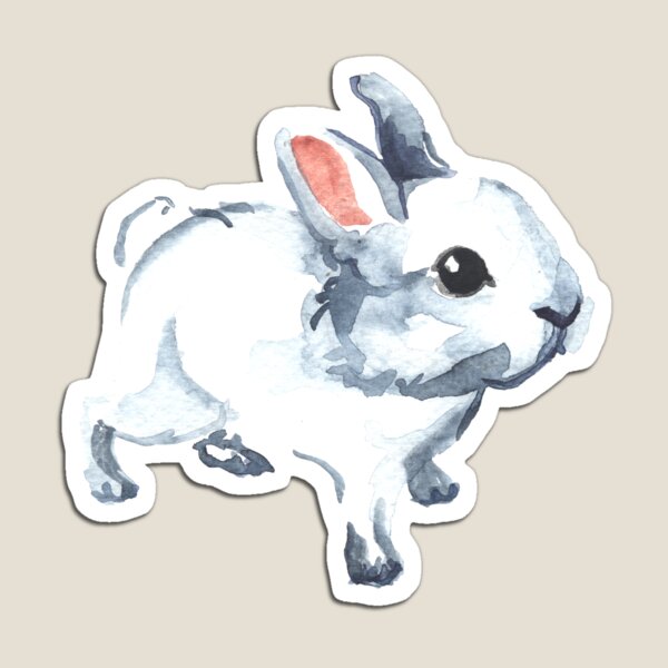 Baby Bunny Magnet