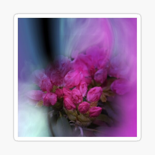 rhododendron buds Sticker