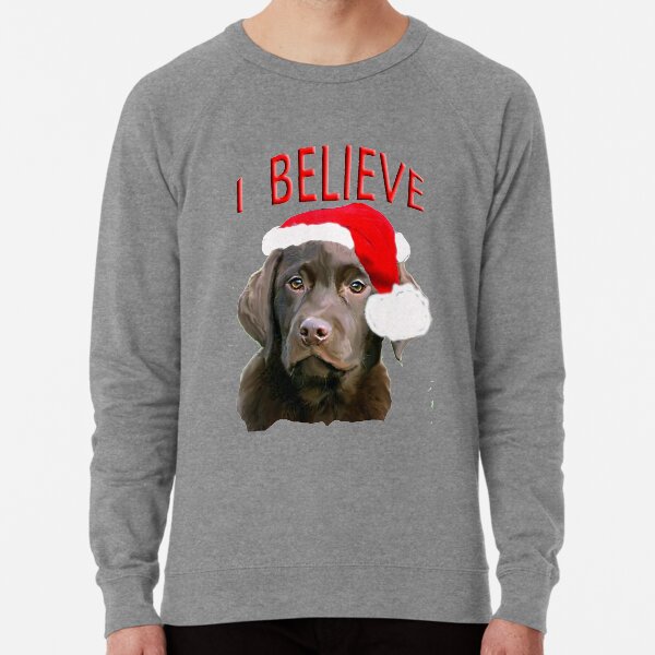 Chocolate lab on sale sweatshirts