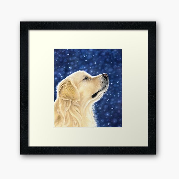 white magic golden retrievers