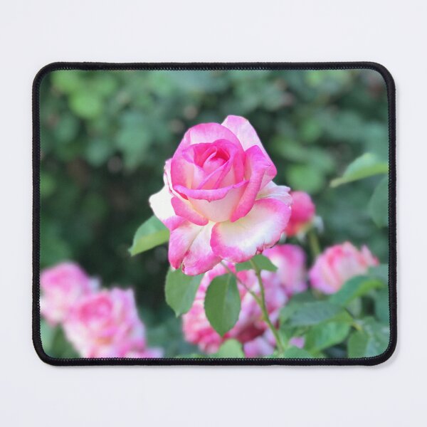 Item preview, Touch of Pink designed and sold by Valerie Valentine.