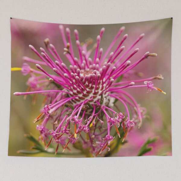 Item preview, Coneflower - Isopogon designed and sold by Life Images by Jill .