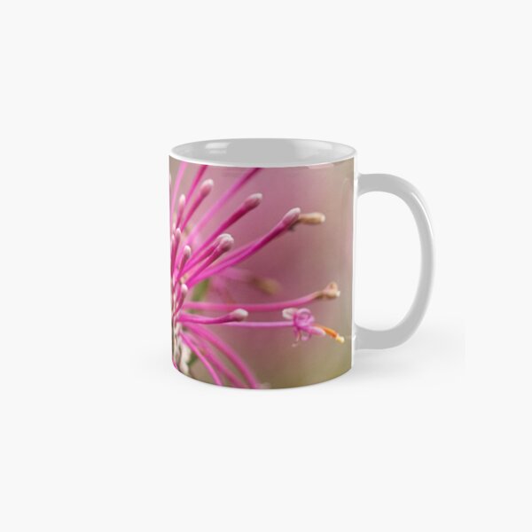 Coneflower - Isopogon Classic Mug