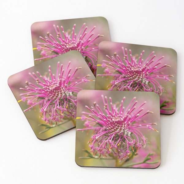 Item preview, Coneflower - Isopogon designed and sold by Life Images by Jill .