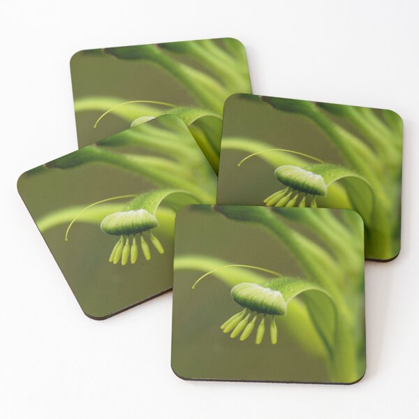 Item preview, Green kangaroo paw designed and sold by Life Images by Jill .