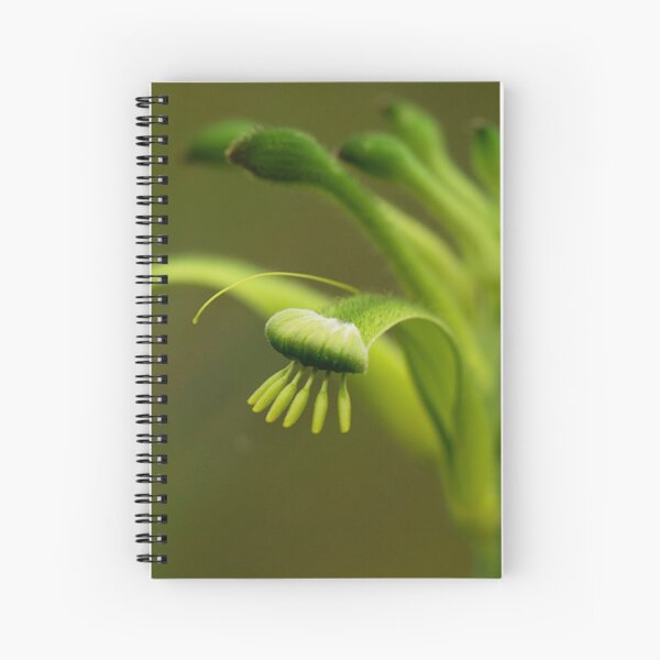 Item preview, Green kangaroo paw designed and sold by Life Images by Jill .