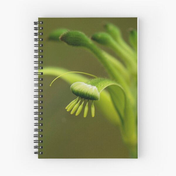 Item preview, Green kangaroo paw designed and sold by Life Images by Jill .