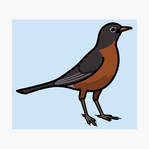 Item preview, American Robin State Bird Graphic Illustration designed and sold by ErinTerryIllus.