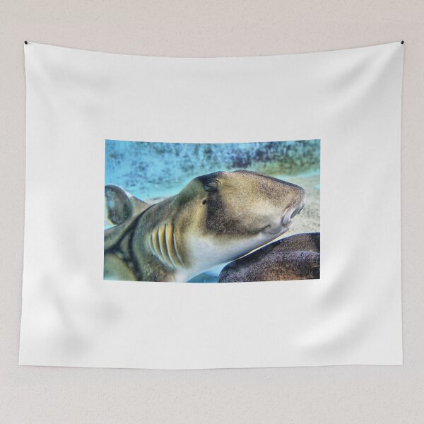 Item preview, Port Jackson shark. designed and sold by Ian Ramsay.