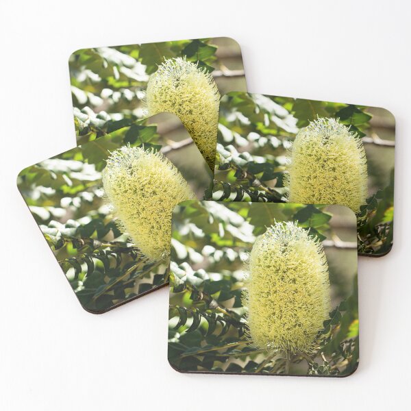 Item preview, Bull Banksia - Banksia grandis designed and sold by Life Images by Jill .