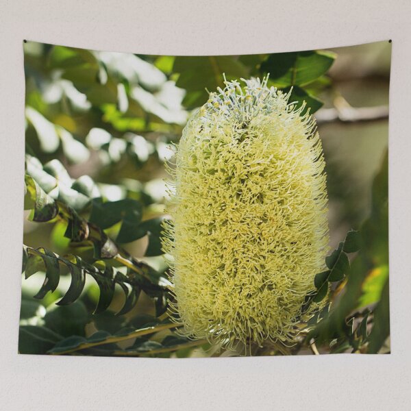 Item preview, Bull Banksia - Banksia grandis designed and sold by Life Images by Jill .