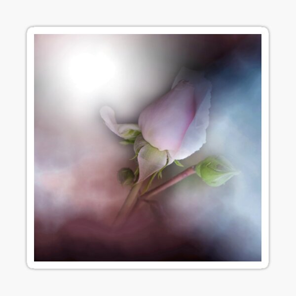 vintage rosebud Sticker