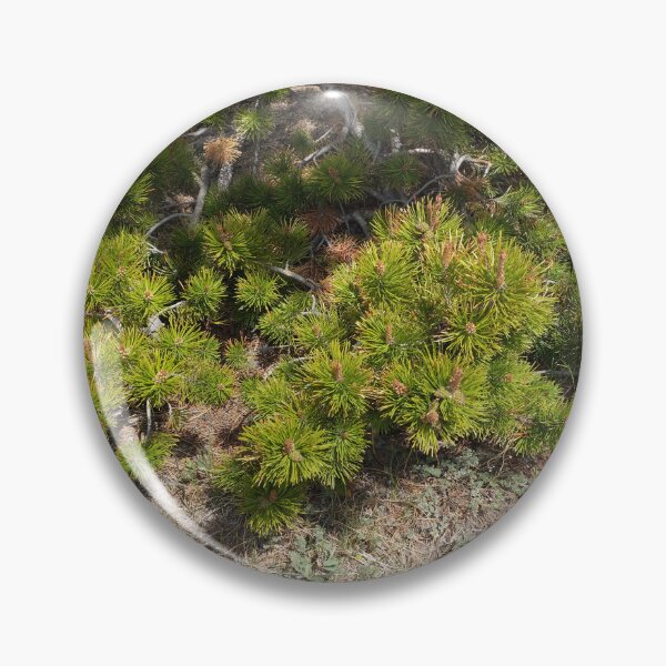 Item preview, Nature in Colorado designed and sold by Haley-Marshall.