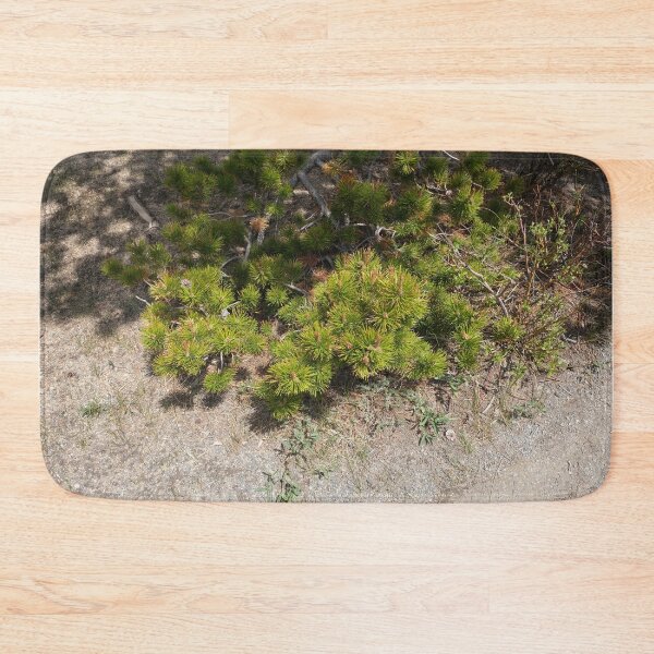 Item preview, Nature in Colorado designed and sold by Haley-Marshall.