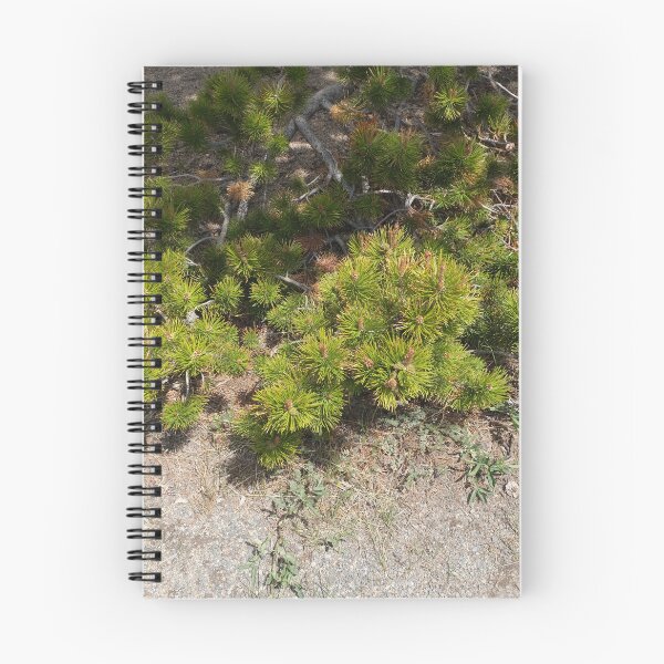 Item preview, Nature in Colorado designed and sold by Haley-Marshall.