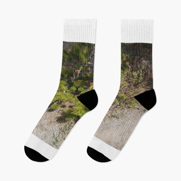 Item preview, Nature in Colorado designed and sold by Haley-Marshall.