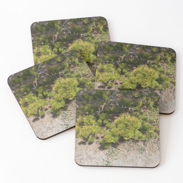 Item preview, Nature in Colorado designed and sold by Haley-Marshall.