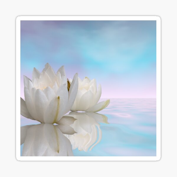 waterlily Sticker