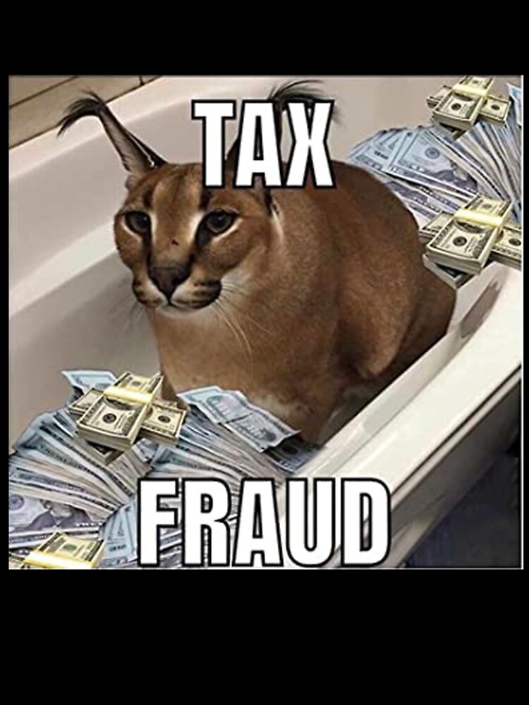 Big Floppa tax fraud Funny memes | Kids T-Shirt