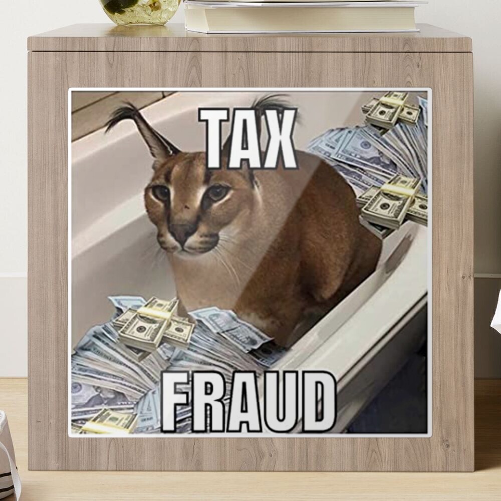 Big Floppa tax fraud Funny memes | Kids T-Shirt