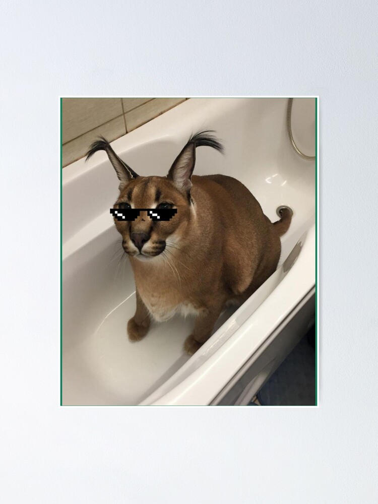  Cutest Bathtub Big Floppa My Beloved Caracal Cat Meme